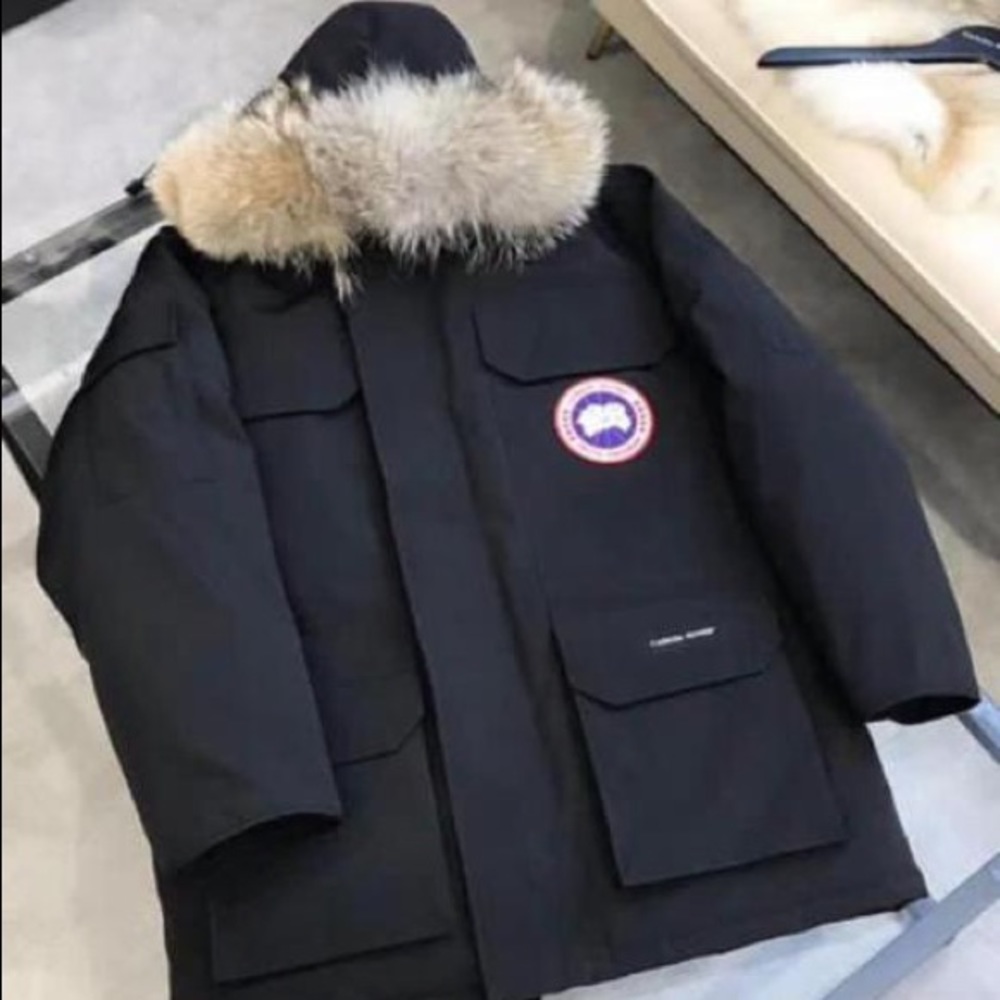 Canada goose